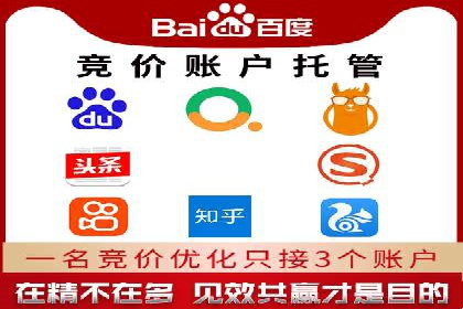 百度推广的投放策略与效果分析